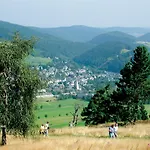 Vakantiehuis Schwedenhaus Waldkauz Willingen (Upland)