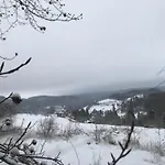 Vakantiehuis Schwedenhaus Waldkauz Willingen (Upland)