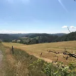 Schwedenhaus Waldkauz 別荘 *