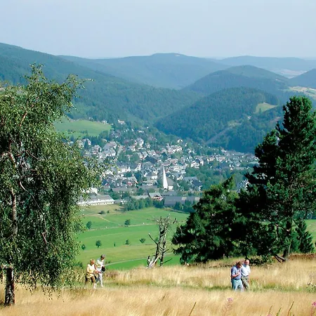 Tatil Evi Schwedenhaus Waldkauz Willingen (Upland)