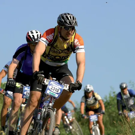 Schwedenhaus Waldkauz * Willingen (Upland)