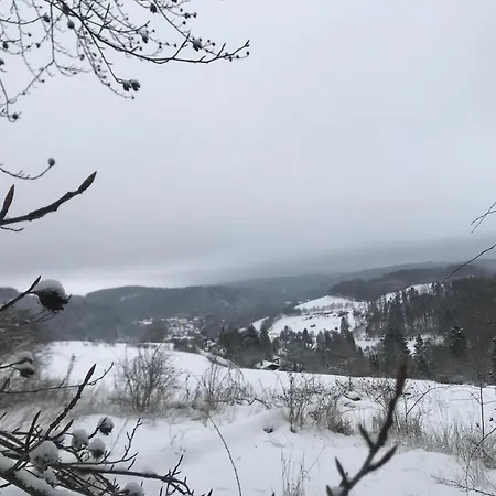 Tatil Evi Schwedenhaus Waldkauz Willingen (Upland)