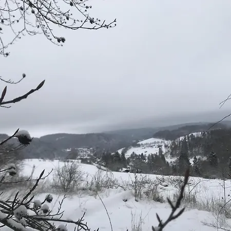 Schwedenhaus Waldkauz Hébergement de vacances *