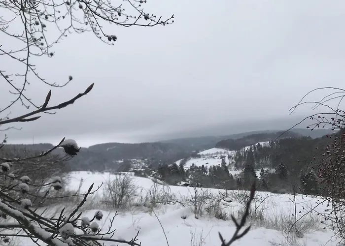Schwedenhaus Waldkauz Hébergement de vacances *