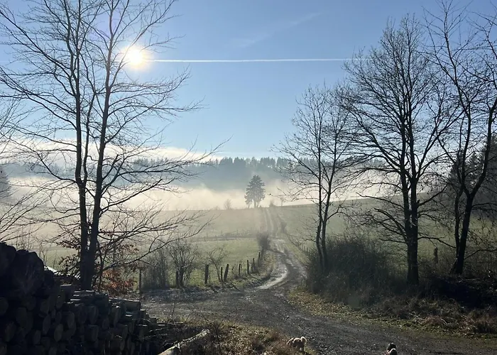 Schwedenhaus Waldkauz Hébergement de vacances Willingen (Upland)
